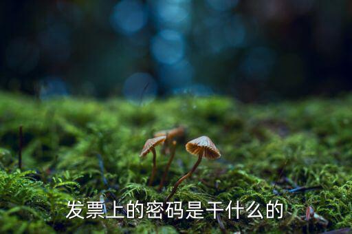 湖南汽車發(fā)票密碼是什么意思，發(fā)票上的密碼是做什么用的啊