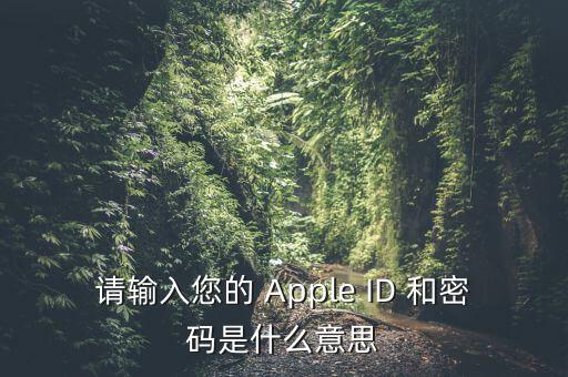 查詢個稅 密碼是輸入什么，請輸入您的 Apple ID 和密碼是什么意思