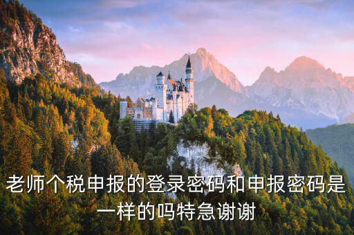 安徽個(gè)稅申報(bào)密碼是什么，老師個(gè)稅申報(bào)的登錄密碼和申報(bào)密碼是一樣的嗎特急謝謝