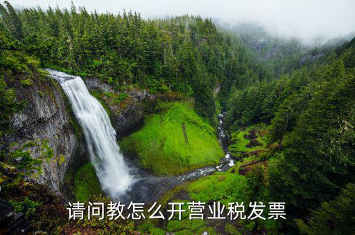 交營(yíng)業(yè)稅開什么發(fā)票，請(qǐng)問教怎么開營(yíng)業(yè)稅發(fā)票