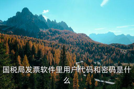 湖南汽車發(fā)票密碼是什么，國(guó)稅局發(fā)票軟件里用戶代碼和密碼是什么