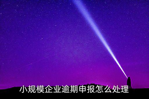 小規(guī)模納稅人如果沒有按時申報有什么后果，小規(guī)模不報稅什么后果