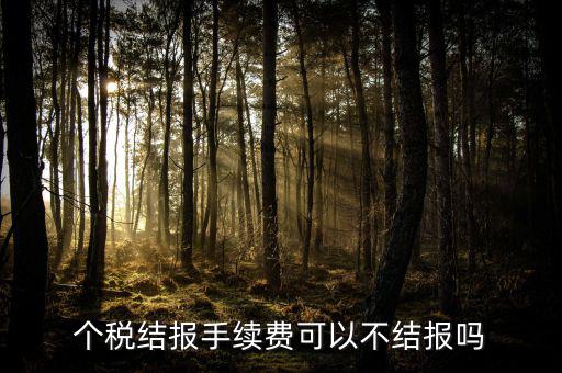 手續(xù)費結報是什么意思，請問個稅手續(xù)費申領具體怎么解釋啊謝謝咯