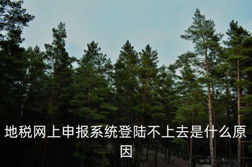 地稅網上申報系統登陸不上去是什么原因