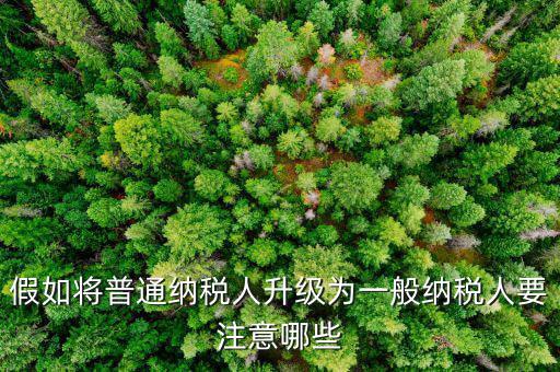 什么是升級(jí)版納稅人，假如將普通納稅人升級(jí)為一般納稅人要注意哪些