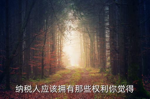 納稅人的權(quán)益有什么，納稅人應(yīng)該擁有那些權(quán)利你覺得