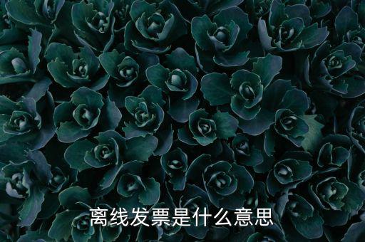 離線開(kāi)票什么意思，離線發(fā)票是什么意思
