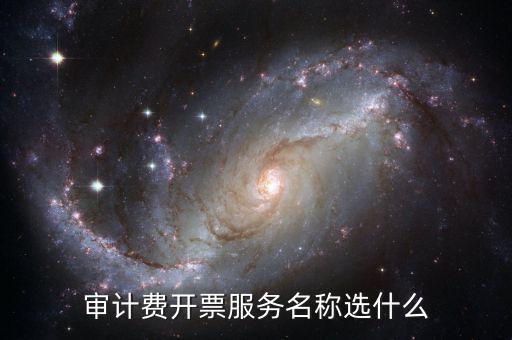 審計(jì)費(fèi)開(kāi)票服務(wù)名稱選什么