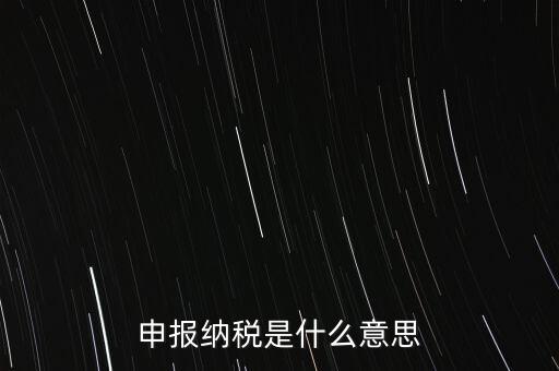 通用申報稅是什么，非稅收入通用申報表是什么稅