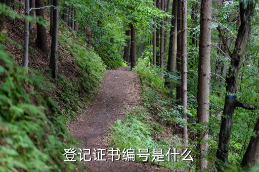 登記證書(shū)編號(hào)是什么