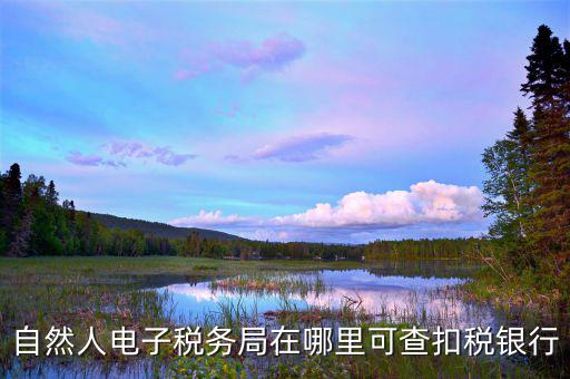 電子稅務(wù)局銀行端查詢什么，天津電子稅務(wù)局如何查詢銀行賬戶備案信息
