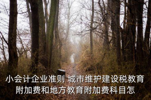 小會計企業(yè)準(zhǔn)則 城市維護(hù)建設(shè)稅教育附加費和地方教育附加費科目怎