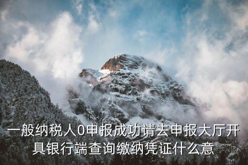 繳稅憑證是什么意思，申報(bào)成功請到申報(bào)大廳開具銀行端查詢繳稅憑證什么意思呀