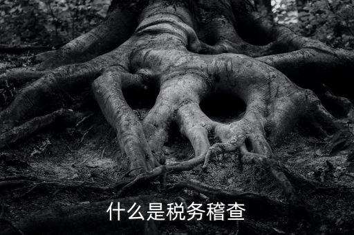 稅務(wù)檢查查什么，什么是稅務(wù)稽查