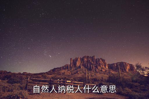 什么是自然人辦稅，自然人納稅人什么意思