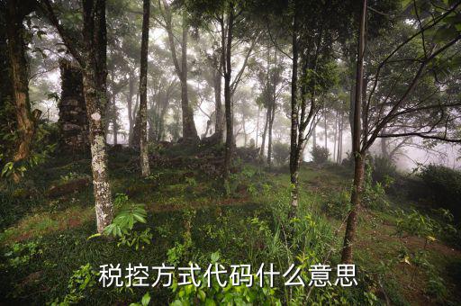 什么叫稅控碼，稅控方式代碼什么意思