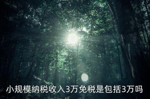 3萬免稅是指什么，小規(guī)模納稅收入3萬免稅是包括3萬嗎