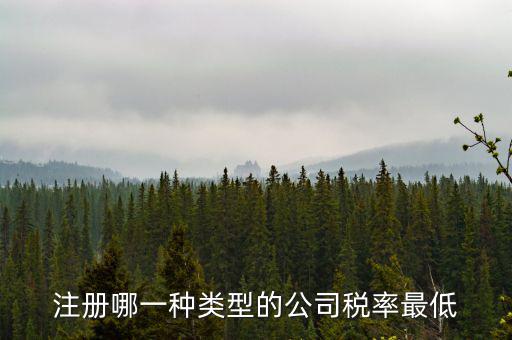 蘇州開什么樣的公司稅率最低，注冊什么類型的公司交稅最少