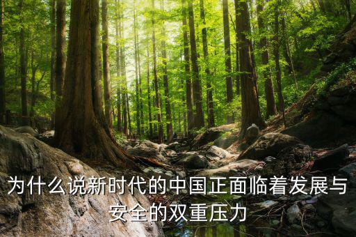 中國的雙重負(fù)擔(dān)是什么，為什么說新時代的中國正面臨著發(fā)展與安全的雙重壓力