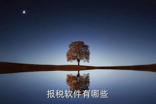 蘇州報(bào)稅用什么軟件，蘇州工業(yè)園區(qū)使用什么電子報(bào)稅系統(tǒng)