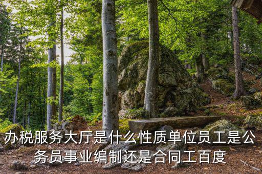 什么是辦稅服務(wù)大廳，辦稅服務(wù)廳的基本服務(wù)包括哪些