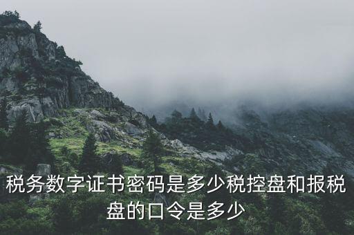 國稅申報ca默認密碼是什么意思，國家稅務(wù)總局網(wǎng)上辦稅服務(wù)廳初始密碼是什么