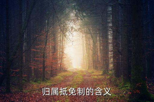 為什么要制定實(shí)施稅收抵免制度，歸屬抵免制的含義