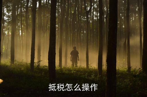 辦理抵稅流程是什么，電子稅務局退抵稅流程