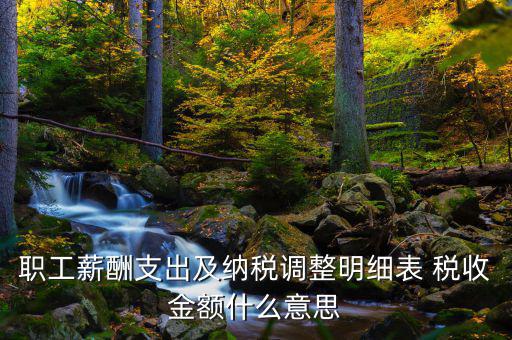 什么是納稅調(diào)整金額，職工薪酬支出及納稅調(diào)整明細(xì)表 稅收金額什么意思