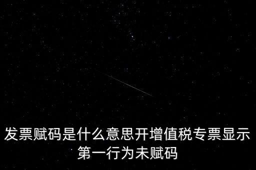 發(fā)票賦碼是什么意思開(kāi)增值稅專票顯示第一行為未賦碼