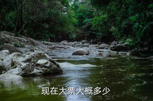 車輛大票是額多少什么，現(xiàn)在大票大概多少