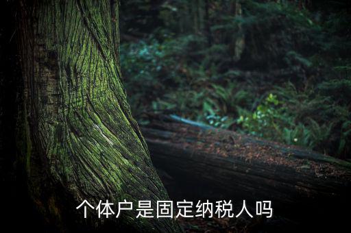 個(gè)體戶(hù)是固定納稅人嗎