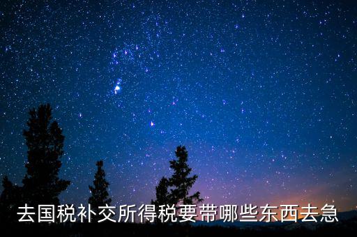 去國稅補(bǔ)繳增值稅要帶什么，增值稅零申報(bào)逾期申報(bào)了48天 到國稅補(bǔ)申報(bào)需要準(zhǔn)備什么資料 帶什么