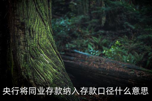 業(yè)務口徑是什么意思，銀行說的十四行口徑是什么意思
