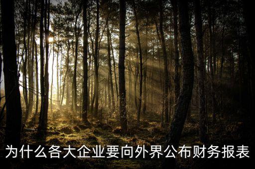 為什么要報(bào)送財(cái)務(wù)報(bào)表，為什么要編財(cái)務(wù)報(bào)表