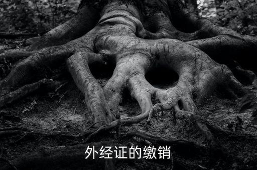 廈門繳銷外經(jīng)證國稅什么資料，廈門國稅需銷項合同是什么