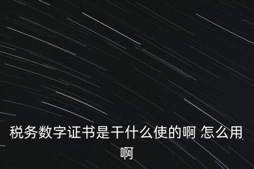 國稅ca數(shù)字證書是什么，稅務(wù)數(shù)字證書是干什么使的啊 怎么用啊