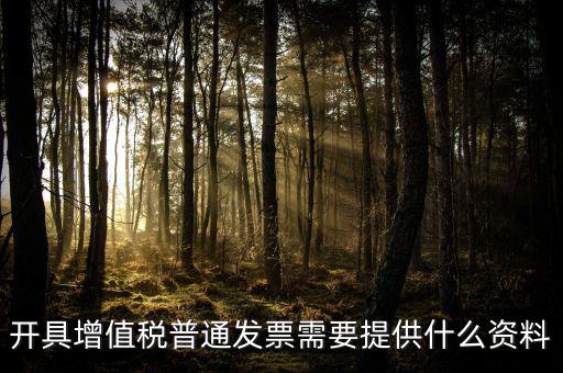 開增值稅提供什么資料，開具增值稅普通發(fā)票需要提供什么資料