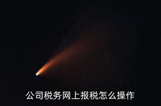 企業(yè)報(bào)稅登什么網(wǎng)站，企業(yè)稅務(wù)申報(bào)去哪個(gè)網(wǎng)站