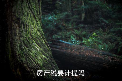 房產(chǎn)稅列入什么費用，房產(chǎn)稅要計提嗎
