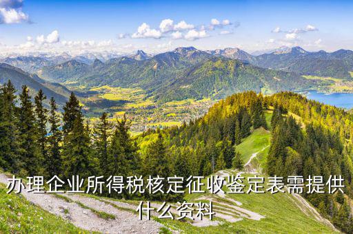 征收方式鑒定需要帶什么，小規(guī)模納稅人查帳征收方式改核定征收方式要辦什么手續(xù)
