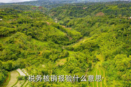 地稅核銷報(bào)驗(yàn)是什么意思，地稅發(fā)票報(bào)驗(yàn)是什么回事啊 怎么報(bào)驗(yàn)什么時(shí)候報(bào)驗(yàn)啊