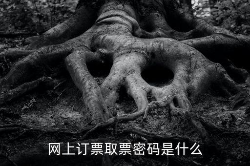 網(wǎng)絡(luò)發(fā)票密碼是什么，發(fā)票上密碼有什么用