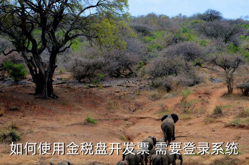 金稅盤要求什么系統(tǒng)，稅控發(fā)票開票軟件 需要什么系統(tǒng)