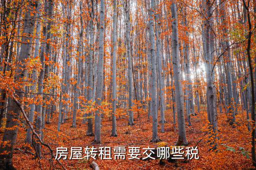 轉(zhuǎn)租房屋需要交什么稅，房屋轉(zhuǎn)租需要交哪些稅