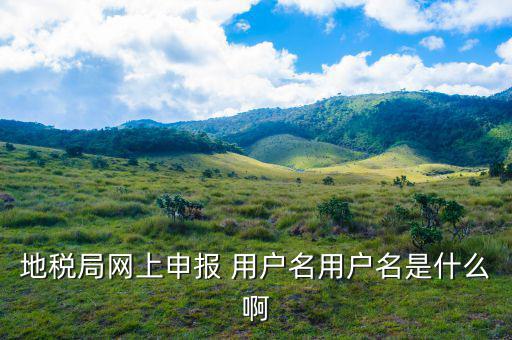 報(bào)稅企業(yè)用戶(hù)名是什么意思，企業(yè)年報(bào)的用戶(hù)名是什么
