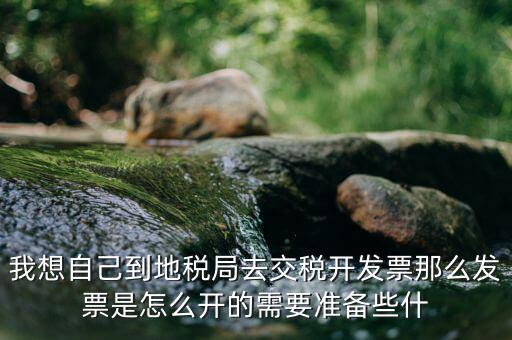 地稅局開(kāi)票需要什么，到地稅局開(kāi)發(fā)票需要什么