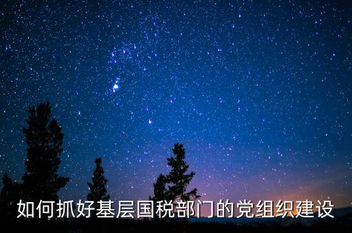 國(guó)稅基層建設(shè)是什么，基層建設(shè)是指什么