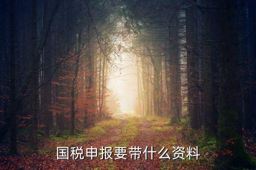 國稅注冊需要什么資料，國稅登記需要帶什么資料
