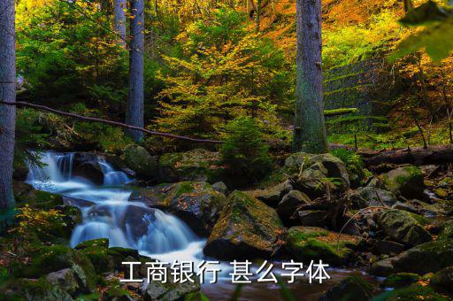 工商銀行用的是什么字體，中國工商銀行的標(biāo)志里面的字母是什么字體